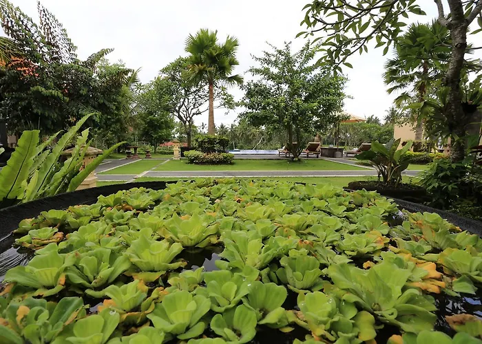 Guest house Luna Llena Ubud (Bali)